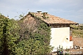 VBS_6063 - Castagnole delle Lanze